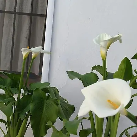 En